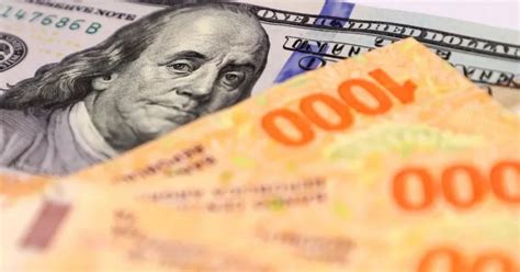 Plazo fijo dólar o UVA qué rindió más en los últimos meses BAE Negocios