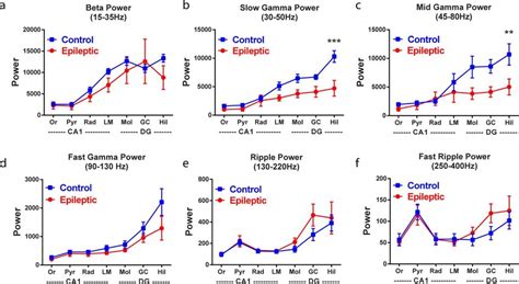 Local field potential power across frequencies a–f. LFP power in beta ... 