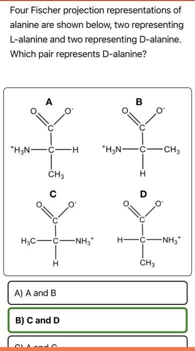 Solved Four Fischer Projection Representations Of Alanine Chegg