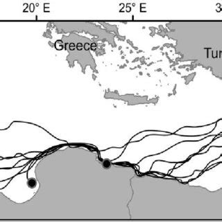 Loggerhead turtle migration routes (n=24) and final residence locations ...