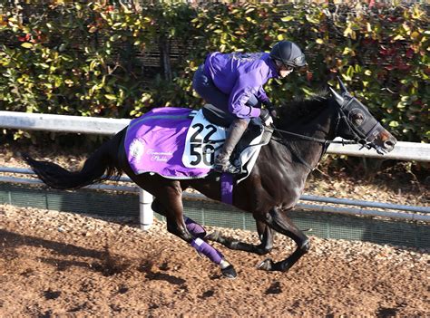 土曜中京の注目激走馬中京11r愛知杯・g3 Umatoku 馬トク