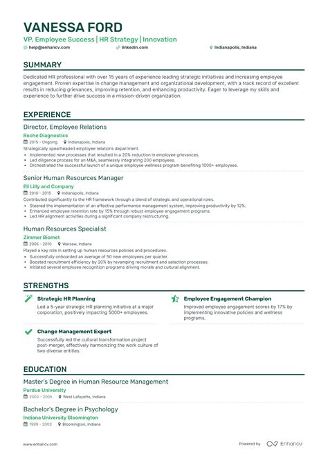 Vp Hr Resume Examples Guide For