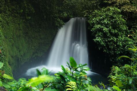 Fotos Gratis Naturaleza Cascada Verde Selva Botánica Cuerpo De