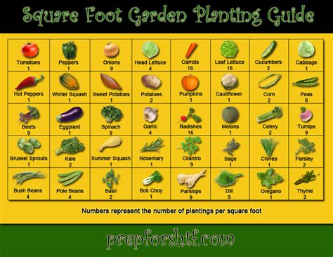 Square Foot Gardening Chart Pdf