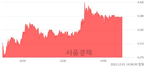 Yg Plus 318 오르며 체결강도 강세 지속169 서울경제