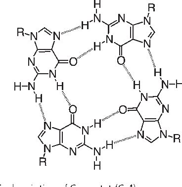 Figure 1 From Quartet Formation Of A Guanine Derivative With An