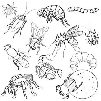 Creepy Arachnid And Insect Clip Art Bug Illustrations 24 Piece