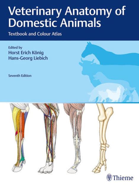 Veterinary Anatomy of Domestic Animals: Textbook and Colour Atlas by Horst Erich König ...