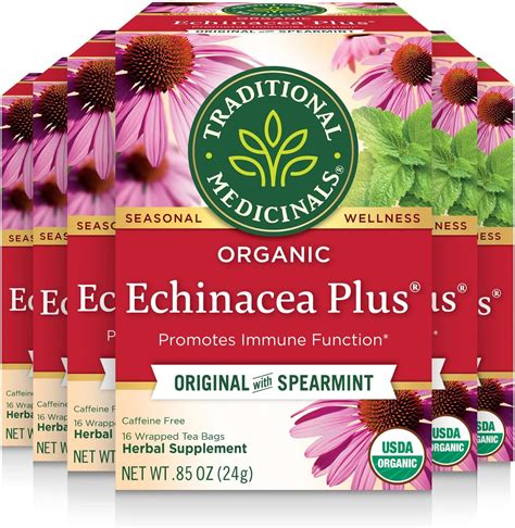 Traditional Medicinals Organic Echinacea Plus Tea 16 Tea Bags Pack Of