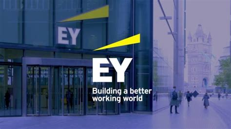 Working Together For Sustainable Business EY