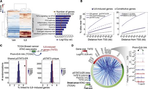 Il6 Stat3 Signaling Hijacks Estrogen Receptor α Enhancers To Drive