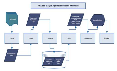 Nucleome Informatics Rna Sequencing Service