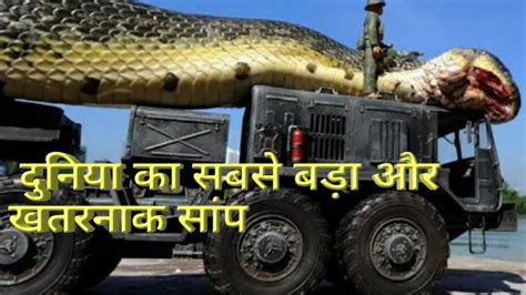 Biggest Snake Ever Titanoboa Prehistoric Animal Duniya Ka