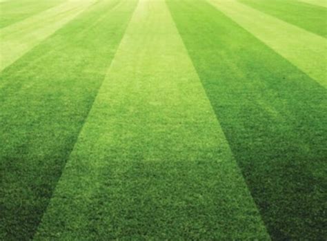 Sports Field Management Trends Part 1 Sportsfield Management