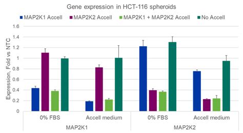 Transfection Free Accell SiRNA Technology Jumping Off Point To