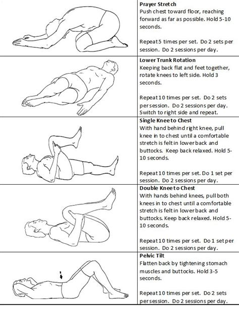 21 best Low Back Pain Exercises Patient Handout images on Pinterest ...