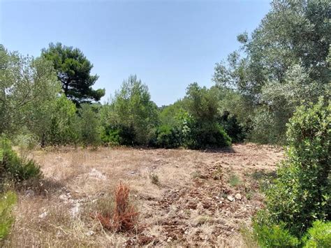 Terreno Agricolo Contrada Monte Cisternino Rif