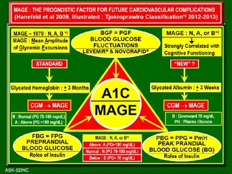 Figure 1 From Measurement Of Mage Mean Amplitude Of Glycemic Excursion