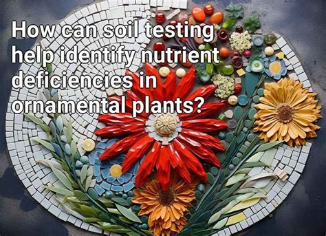 How Can Soil Testing Help Identify Nutrient Deficiencies In Ornamental