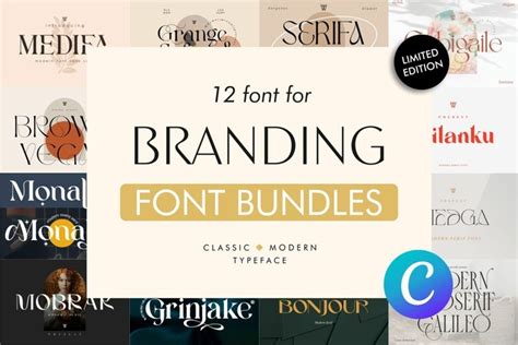 Aesthetic Sans Serif Font Bundles Font 2523649