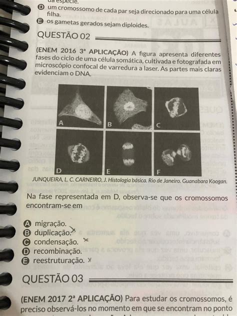 Poderia Me Explicar Essa Quest O Por Alternativa Ou Me Fa Explica