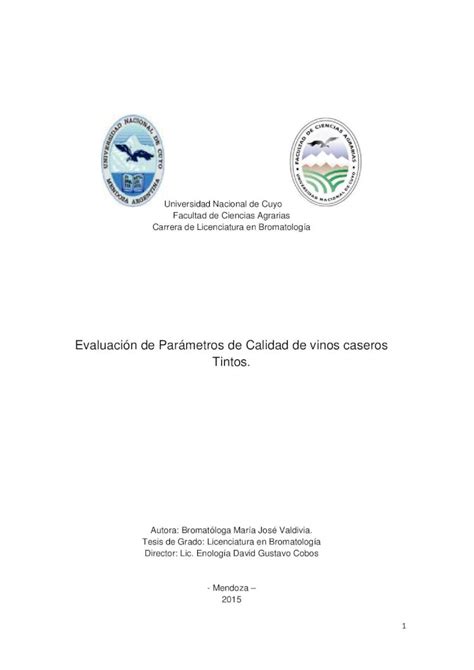 Pdf Evaluaci N De Par Metros De Calidad De Vinos Caseros Tintos