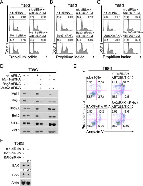 Down Regulation Of Mcl Bag Or Usp X Sensitizes For Abt Mediated