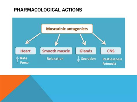 Anticholinergic Drugs Ppt