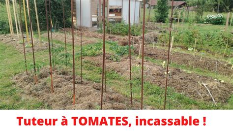 Tuteur Tomates Garanti Vie Youtube