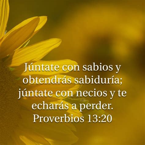 Proverbios 13:20, Biblia Dios Habla Hoy (sin notas y ayudas) (DHH ... 