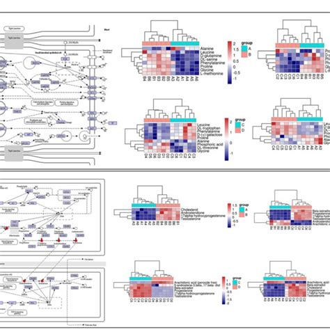 Figure Kegg Pathway Map And Hierarchical Clustering Heat Map Of Dams