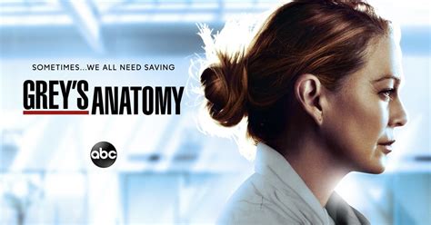 Greys Anatomy Season 15 Streaming Watch And Stream Online Via Netflix