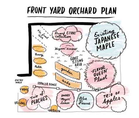 Fruit Orchard Design For Small Spaces Mother Earth News