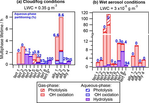 Chemical Multiphase Lifetimes And Relative Contribution Of Each Sink Of