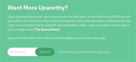 7 Best Opt In Email Examples And The Perfect Places To Use Them