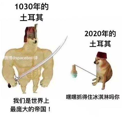 刷屏几亿人表情包的柴犬cheems，正成为下一个doge 哔哩哔哩