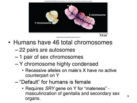 Chromosomes Mapping And The Meiosisinheritance Connection Ppt Download