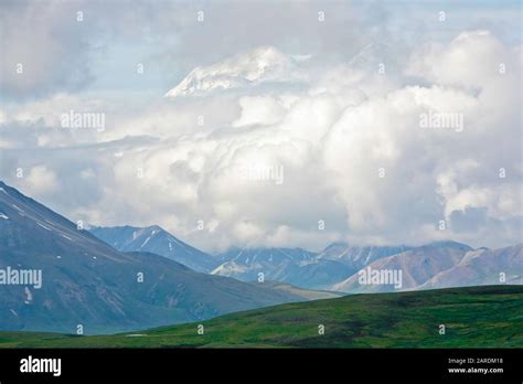 Tip Of Mt Mckinleydenali Peaking Through Clouds From Denali Park Road