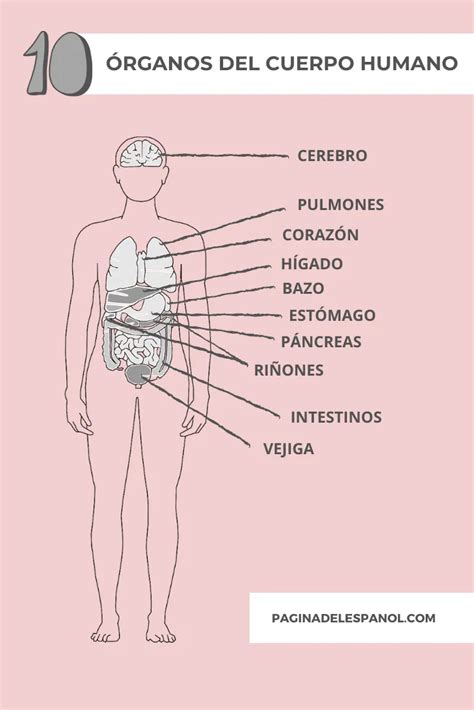 Una infografía con el vocabulario necesario para hablar sobre 10