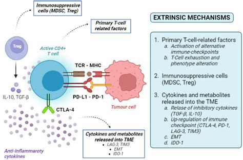 Primary And Acquired Resistance To Immune Checkpoint Inhibitors