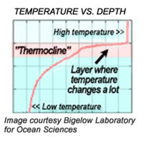 thermocline graph