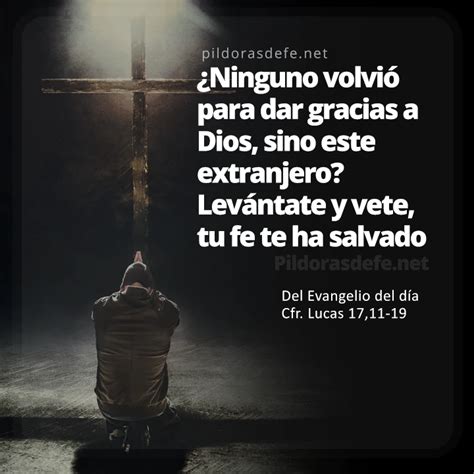 Evangelio de hoy miércoles Lecturas de hoy 15 de noviembre 2023