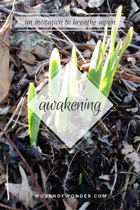 awakening – LightWater Mission