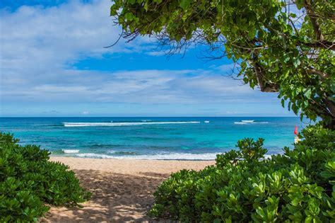 Haleiwa Beaches | Uncle Bo's Pupu Bar & Grill