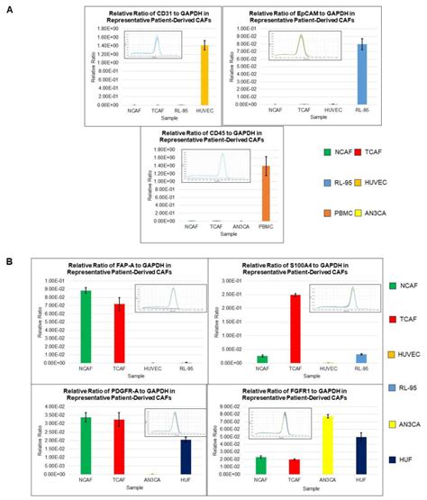 Anti S A Antibody Abcam Bioz