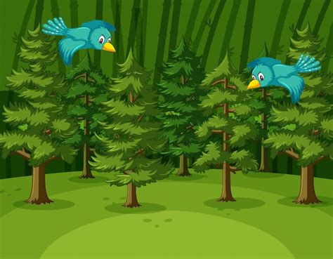 Escena con dos pájaros volando en el bosque Vector Premium