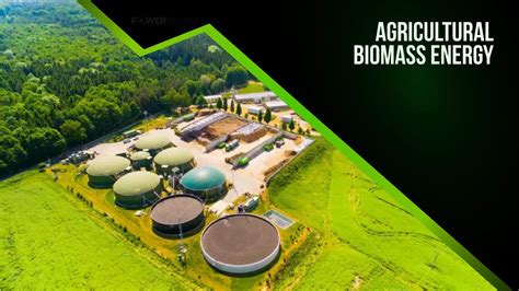 Agricultural Biomass Energy A Sustainable Solution For Tomorrow Power Efficiency