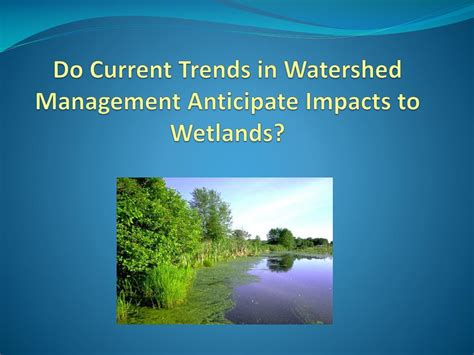 PPT How Do Wetlands Factor Into New Infiltration Policies PowerPoint