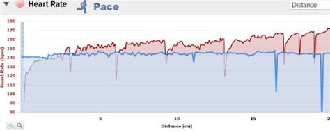 Sudden Increase In Heart Rate During Exercise Online Degrees