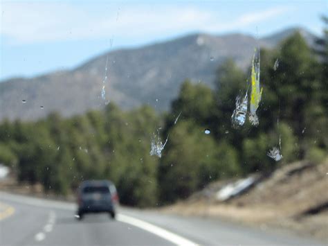 Focus On The Bugs Drive From Las Vegas To The Grand Canyon Flickr